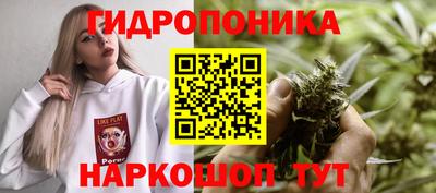 гидра Ликино-Дулёво