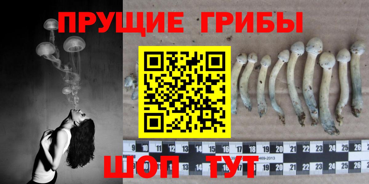 Галлюциногенные грибы GOLDEN TEACHER  Вход с VPN  Ейск  Псилоцибиновые грибы ЛСД 